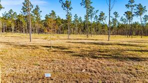20 Big Buck Drive - Photo 3