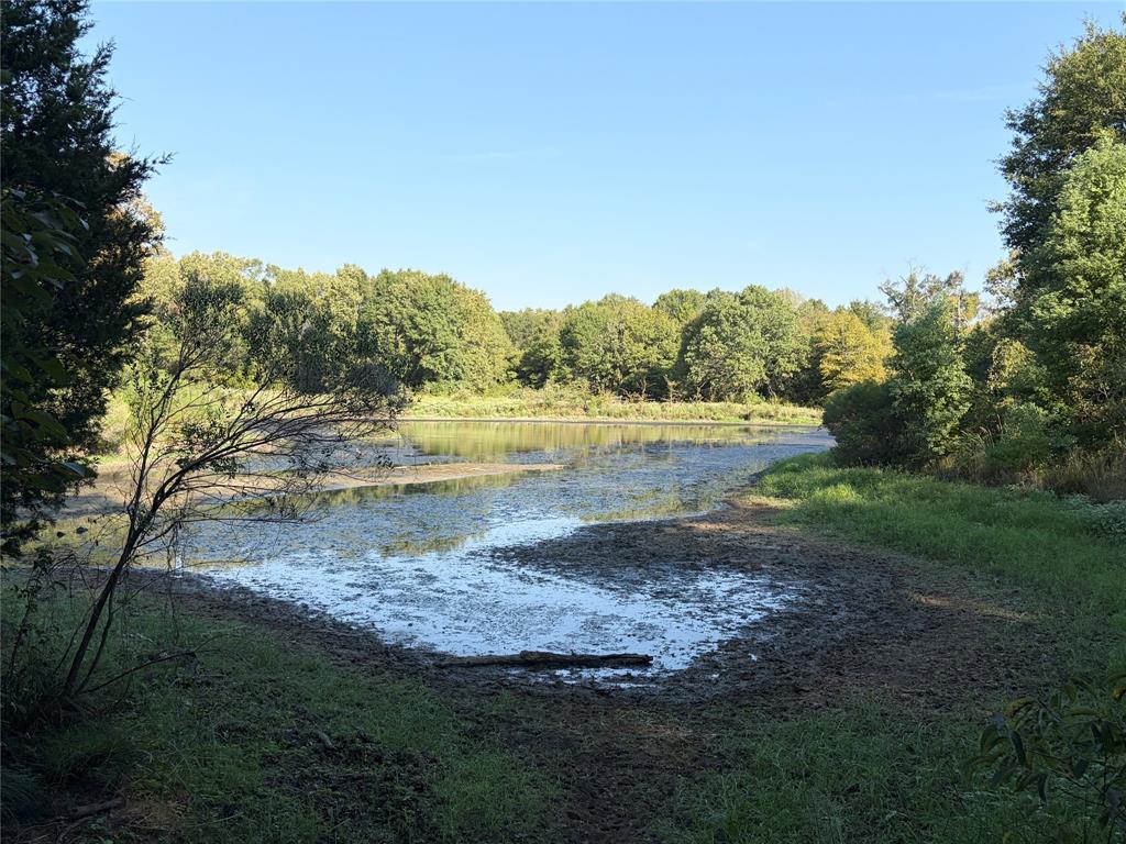10740 N Us-175 - Photo 15