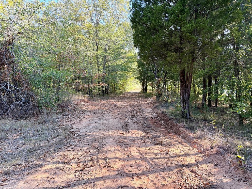 10740 N Us-175 - Photo 16