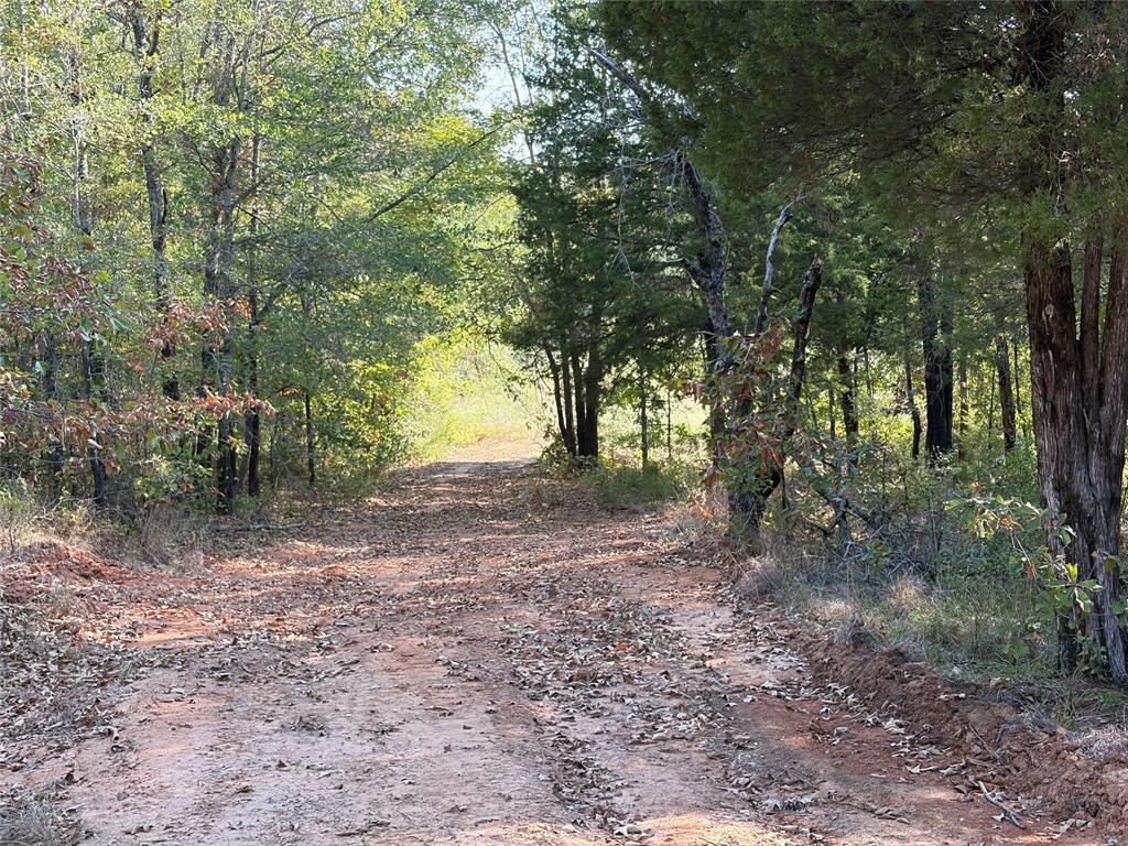 10740 N Us-175 - Photo 17