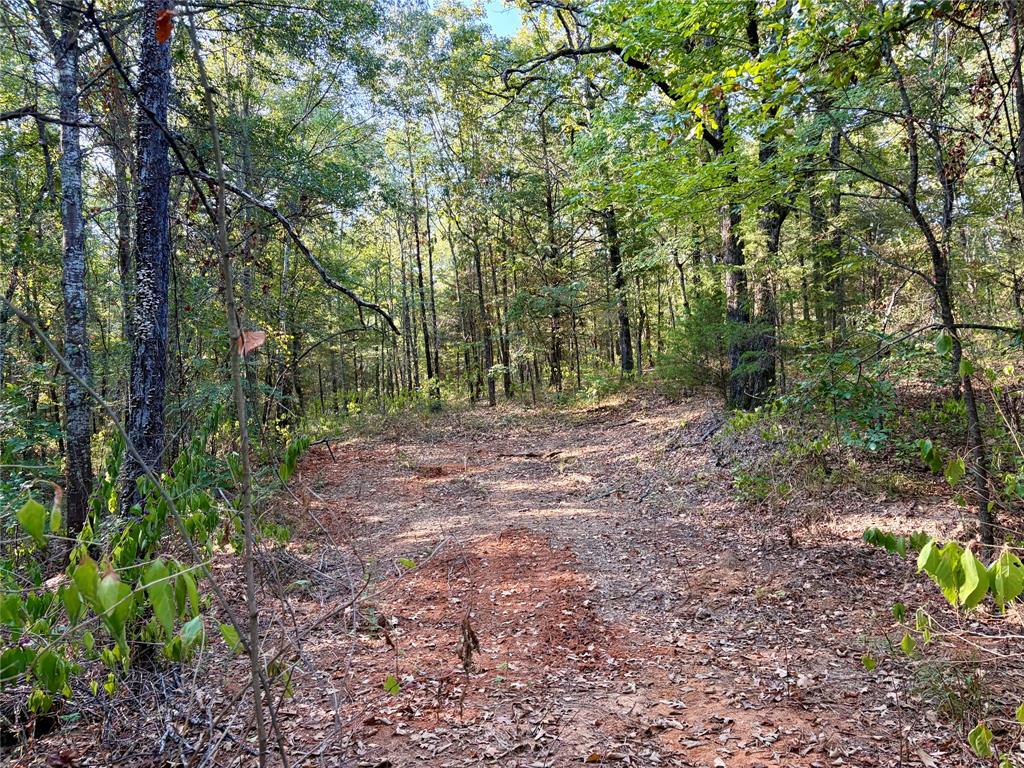10740 N Us-175 - Photo 19