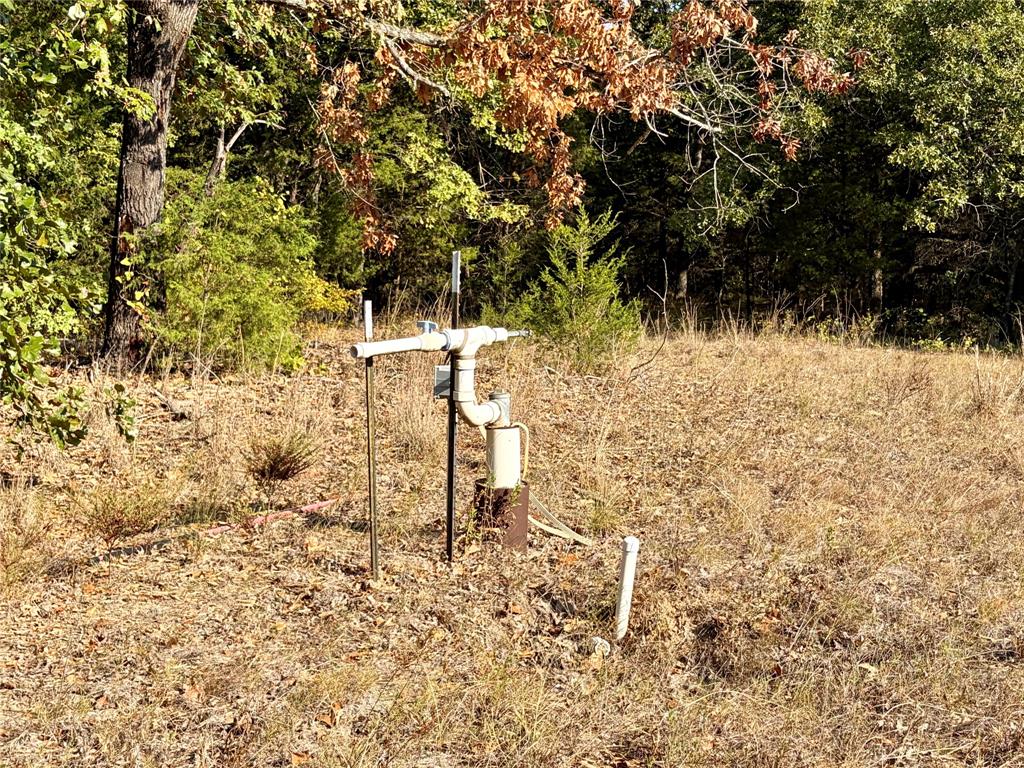 10740 N Us-175 - Photo 22
