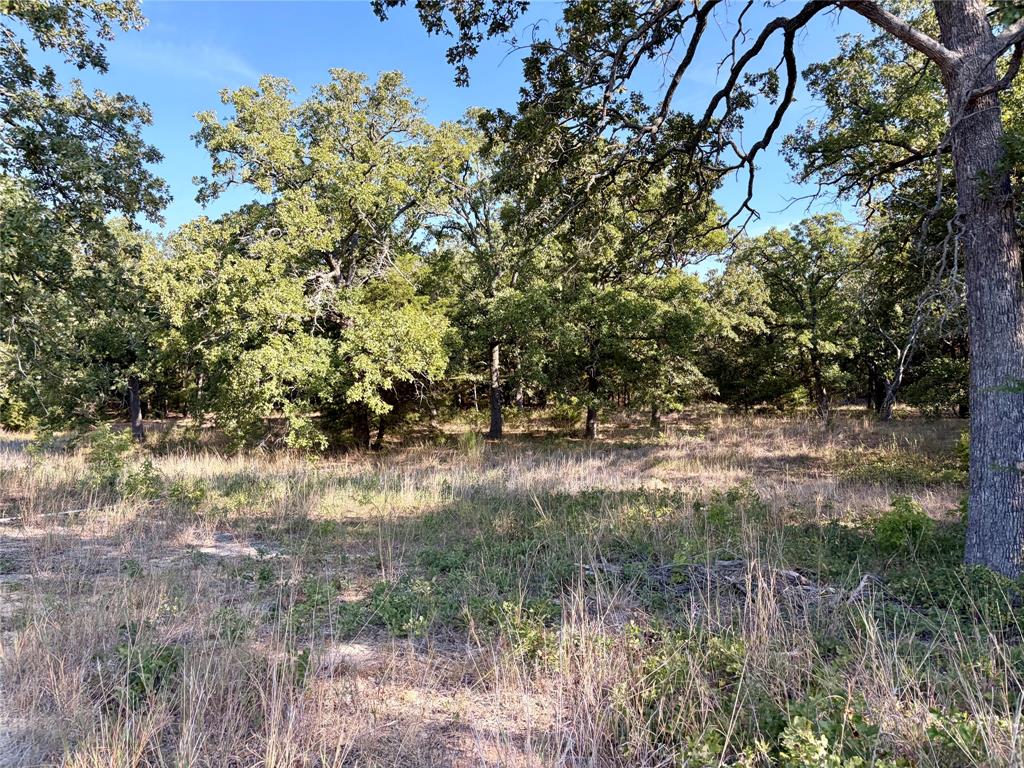 10740 N Us-175 - Photo 23