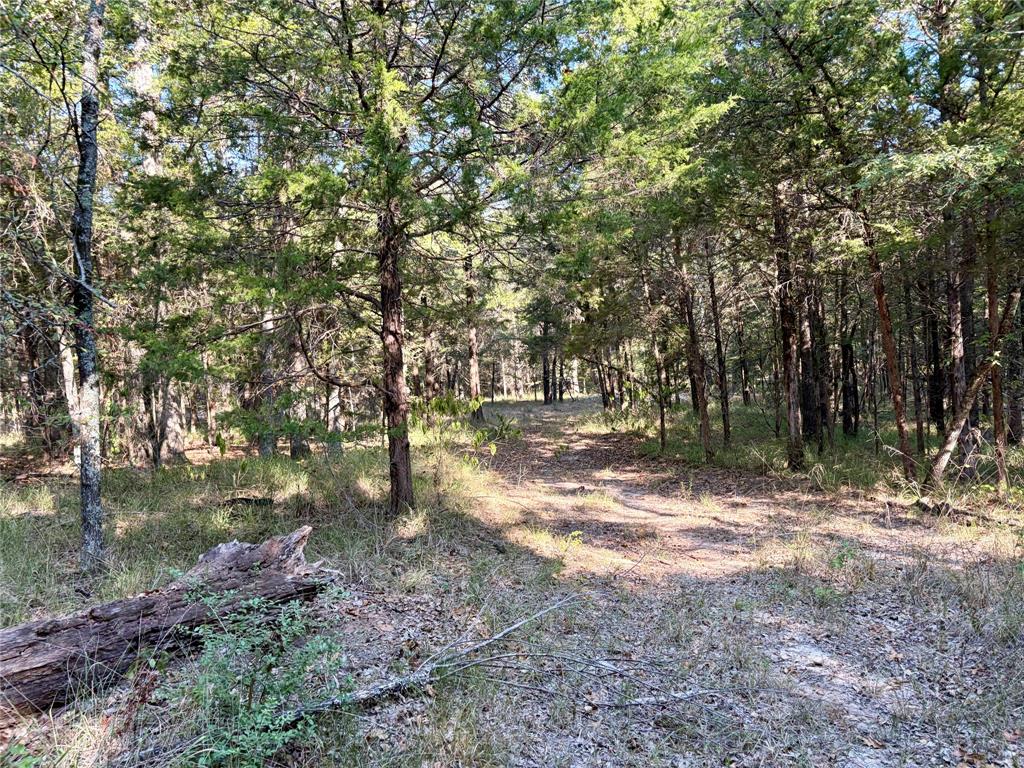 10740 N Us-175 - Photo 24