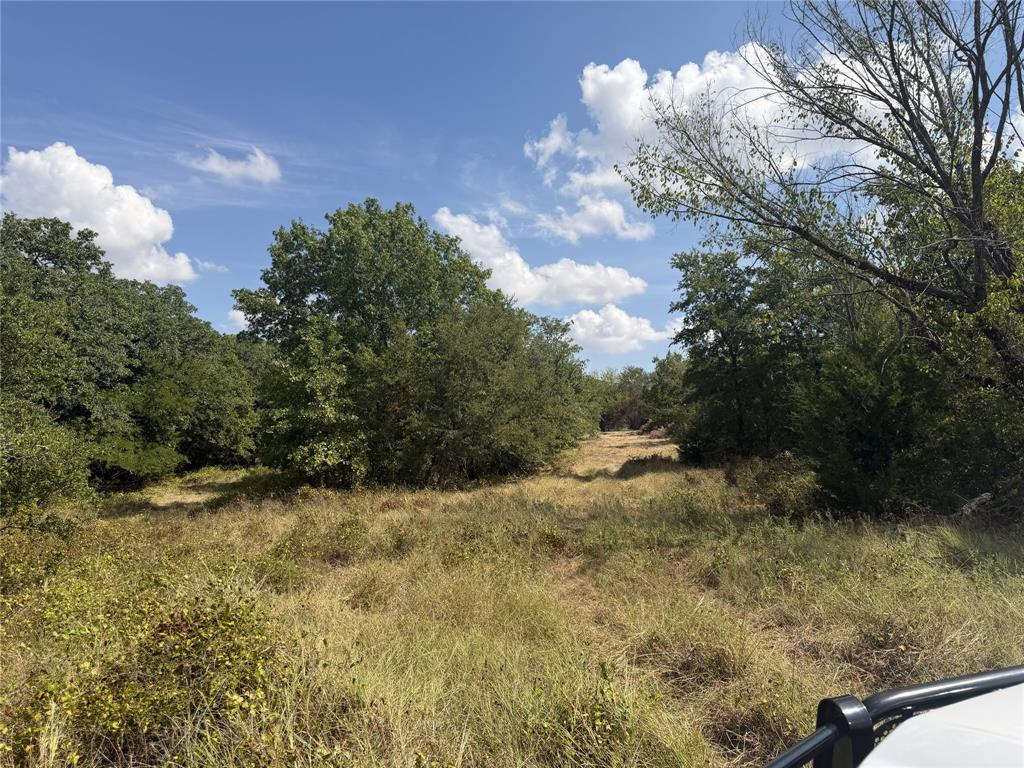 2009 Hoopers Court - Photo 12