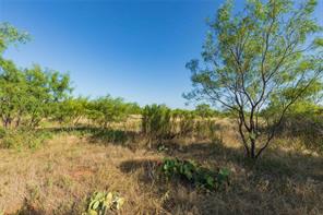TBD CR 250 County Road 250 - Photo 12