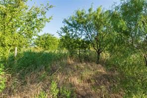 TBD CR 250 County Road 250 - Photo 3