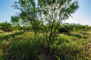 TBD CR 250 County Road 250 - Photo 4