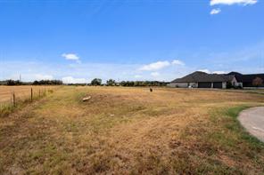 1108 Beginnings Drive - Photo 4