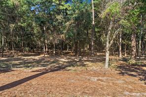 TBD Lockhart - Photo 2