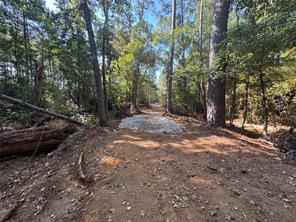 627 N U S HWY 287 - Photo 25