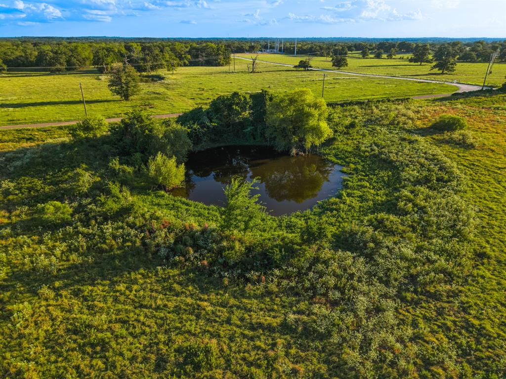 330 County Road 930 - Photo 10