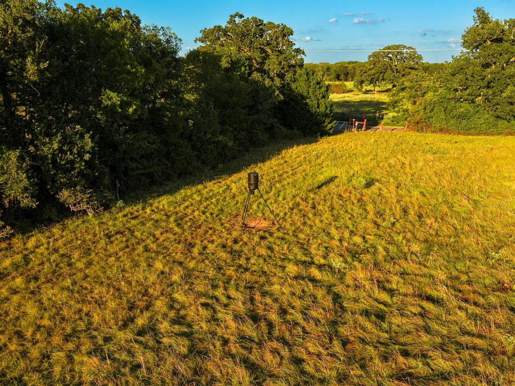 330 County Road 930 - Photo 6