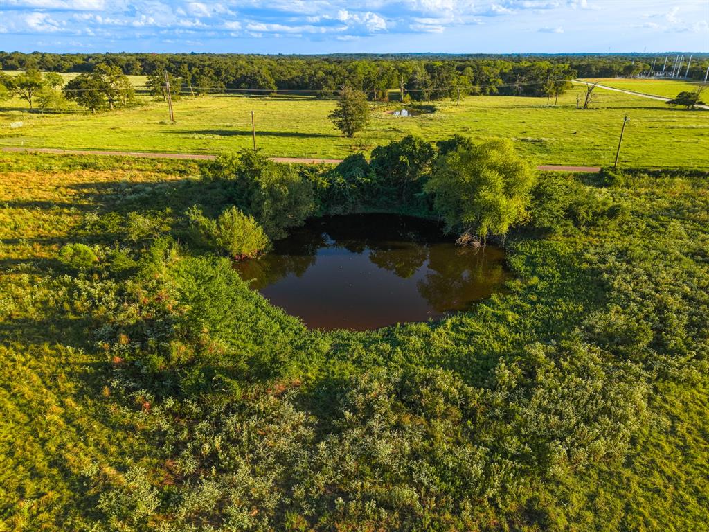 330 County Road 930 - Photo 8