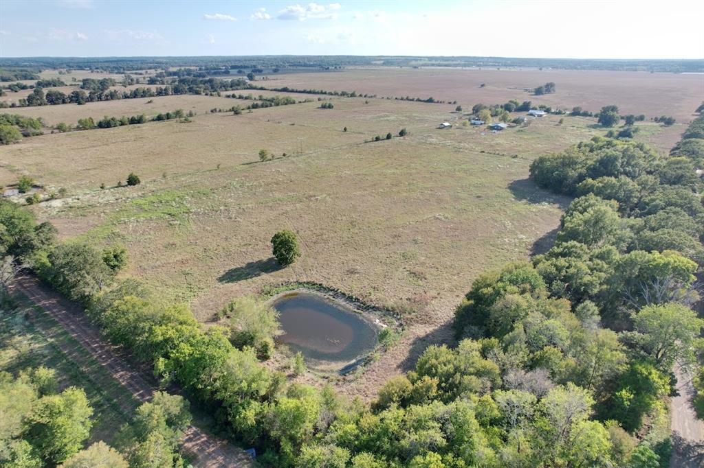 8698 County Road 239 - Photo 18