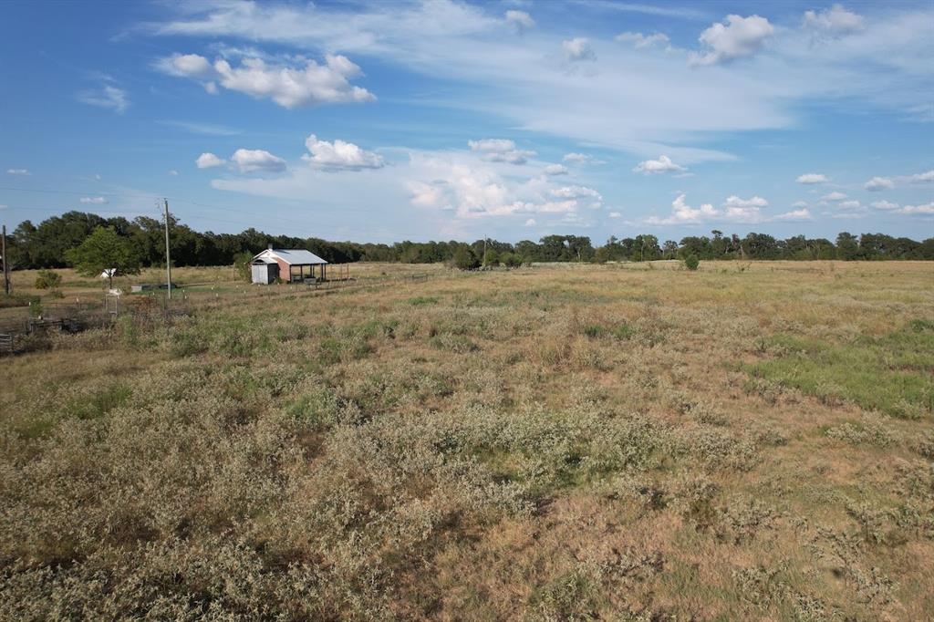8698 County Road 239 - Photo 19