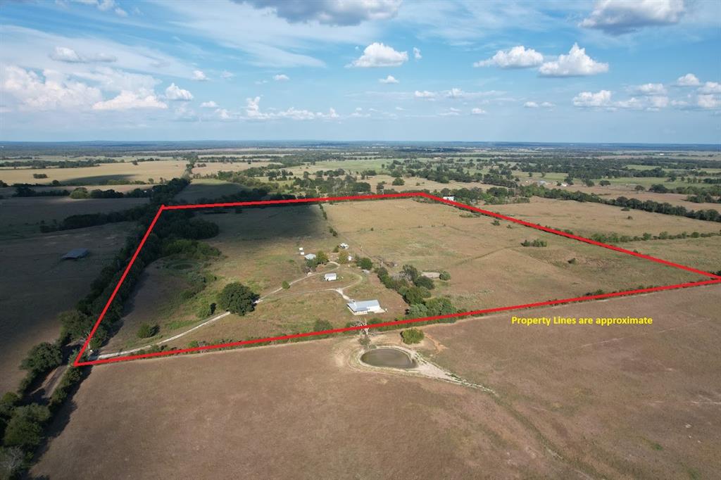 8698 County Road 239 - Photo 2