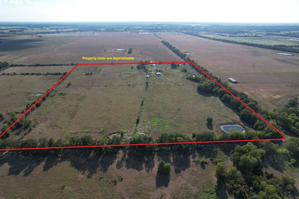 8698 County Road 239 - Photo 3
