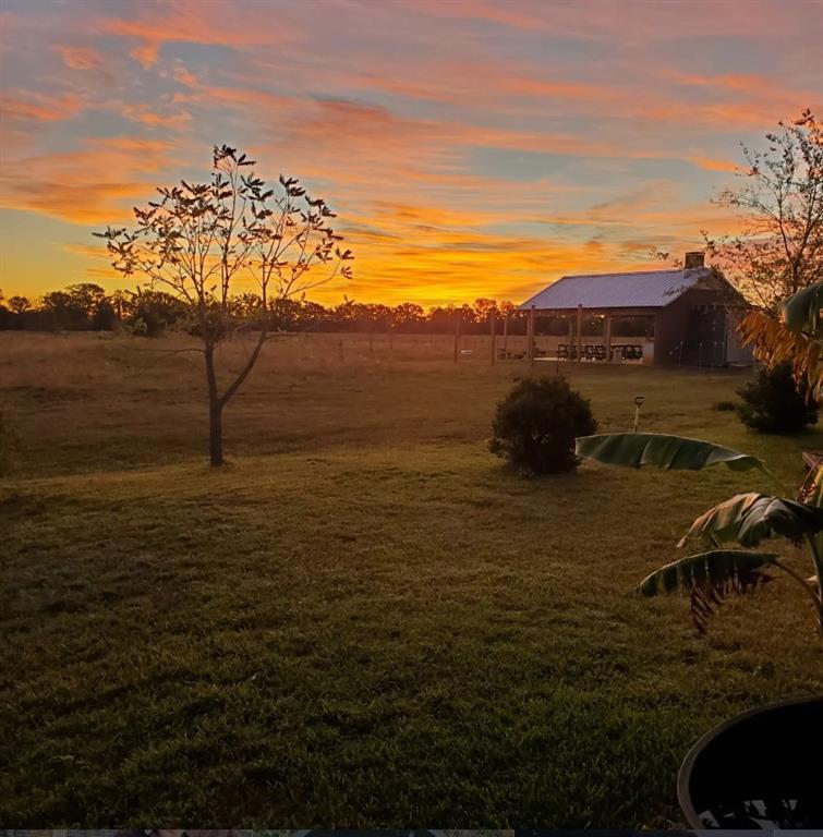 8698 County Road 239 - Photo 33
