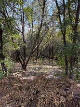 3633 Flint Rock Circle - Photo 3