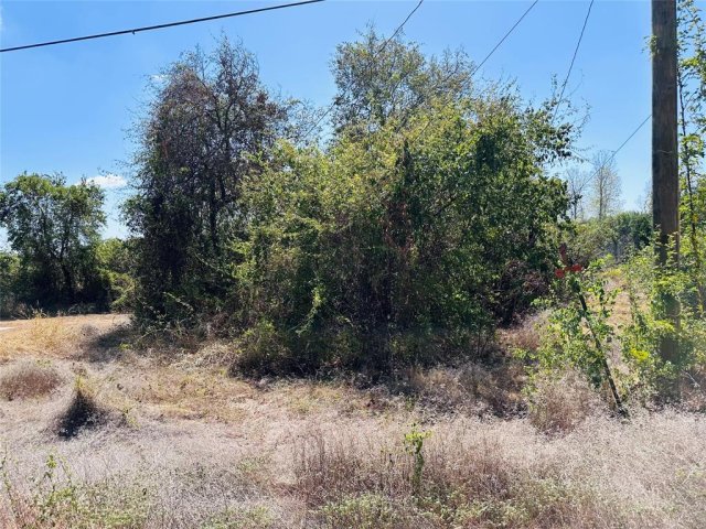 4300 Tejas Trail