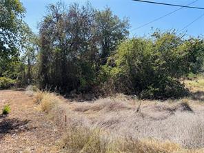4300 Tejas Trail - Photo 2