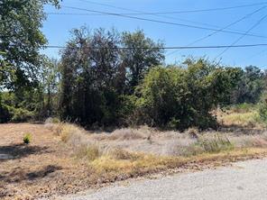 4300 Tejas Trail - Photo 3
