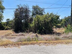 4300 Tejas Trail - Photo 4