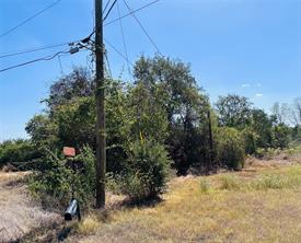 4300 Tejas Trail - Photo 6