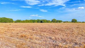 TBD County Road 2190 - Photo 10