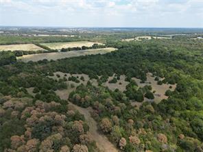 85 ac County Road 1019 - Photo 7