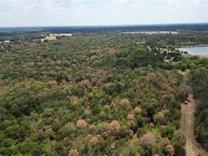 85 ac County Road 1019 - Photo 8