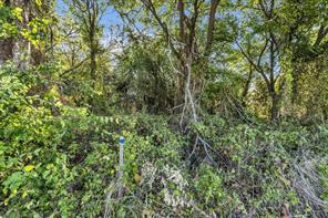 TBD TBD - Photo 4