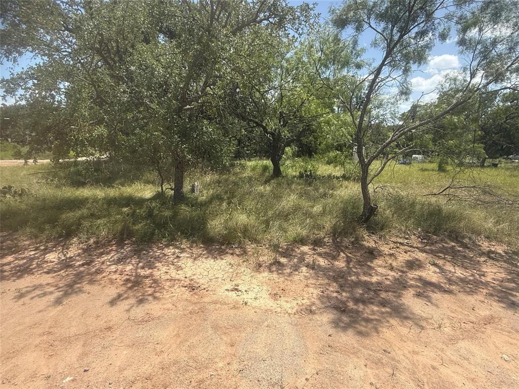 TBD 691 S Lakes Drive - Photo 3