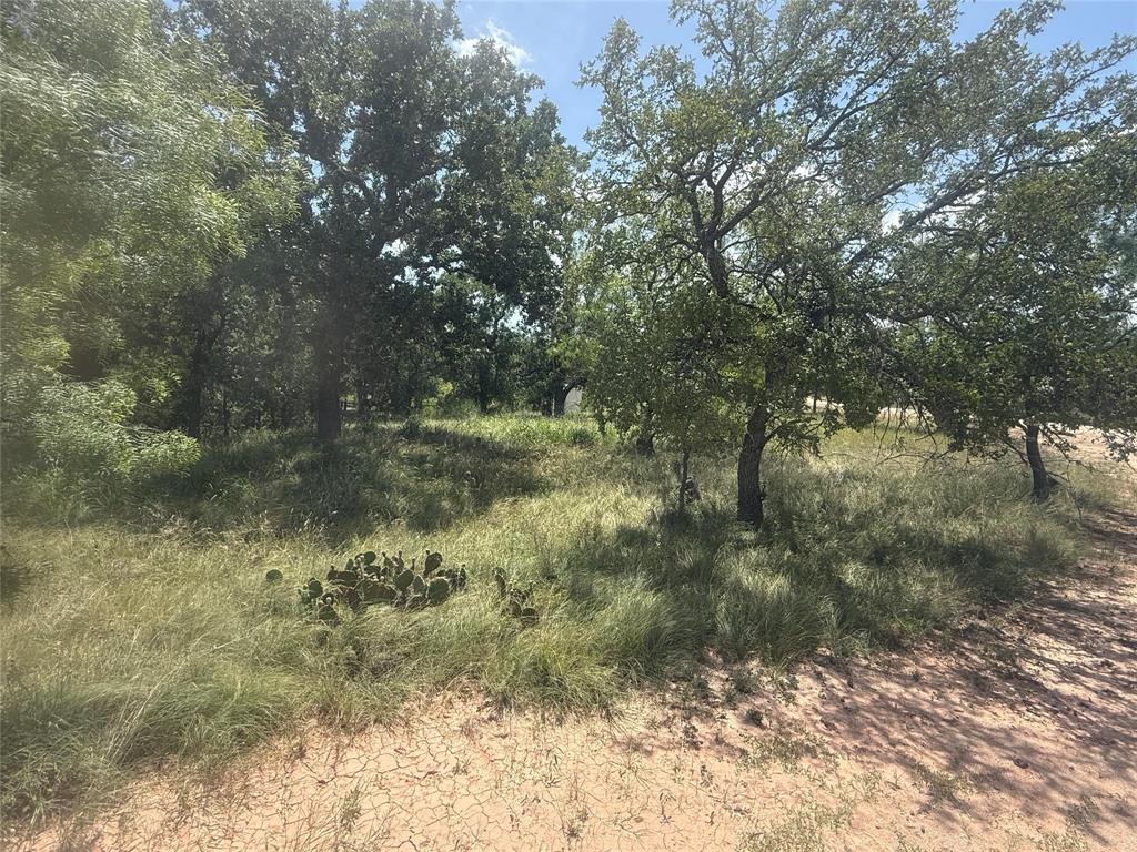 TBD 691 S Lakes Drive - Photo 5