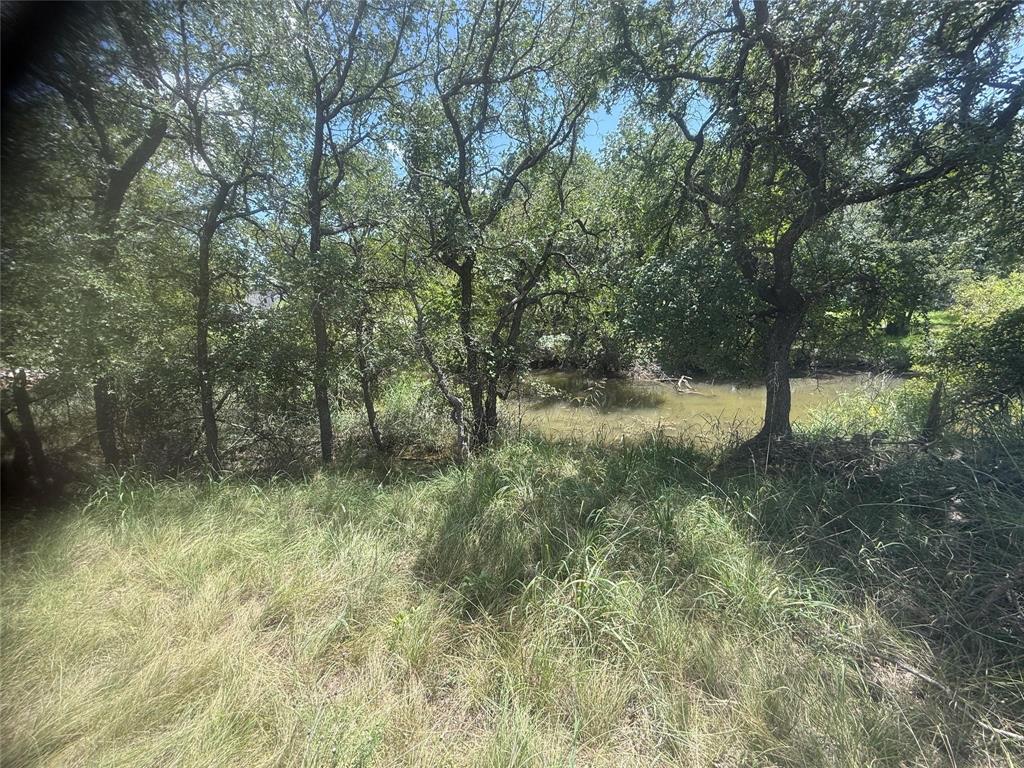 TBD 691 S Lakes Drive - Photo 8