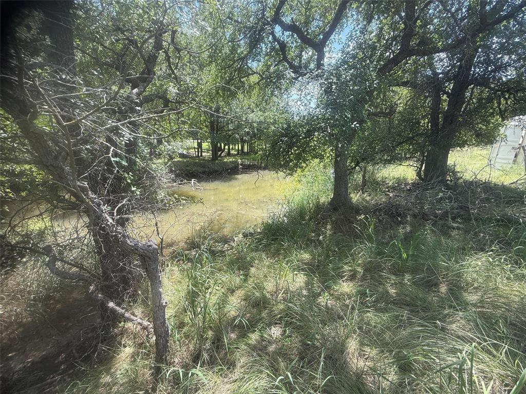 TBD 691 S Lakes Drive - Photo 9