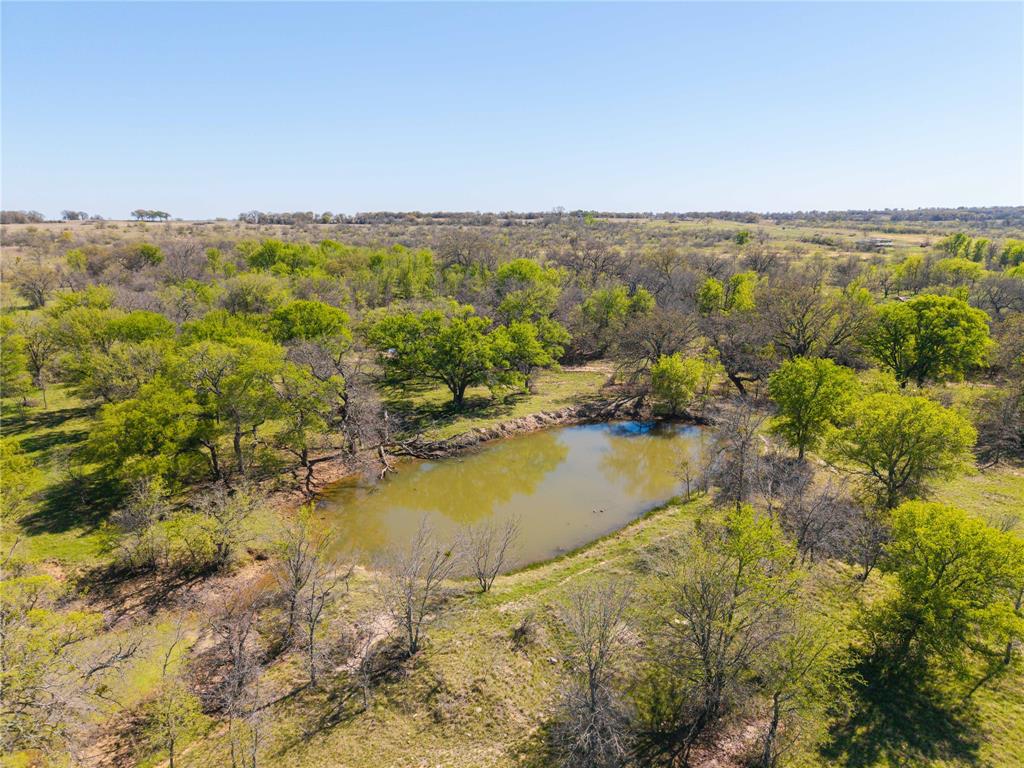 TBD 20 Acres CR 186 - Photo 1