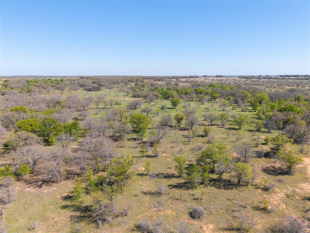 TBD 20 Acres CR 186 - Photo 14