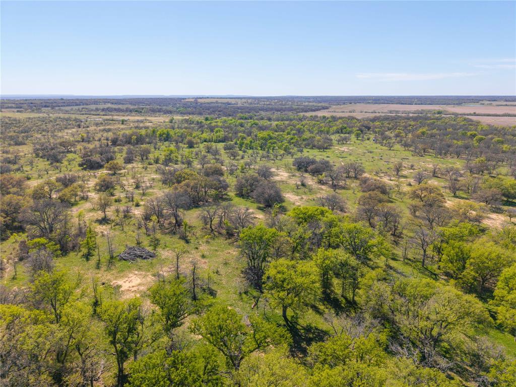 TBD 20 Acres CR 186 - Photo 25