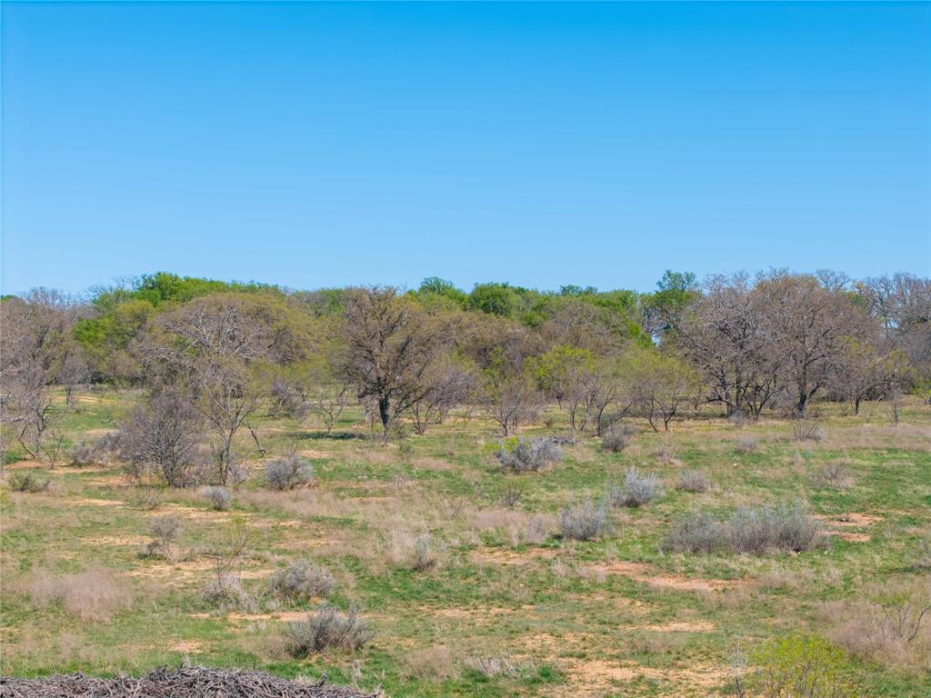 TBD 20 Acres CR 186 - Photo 28