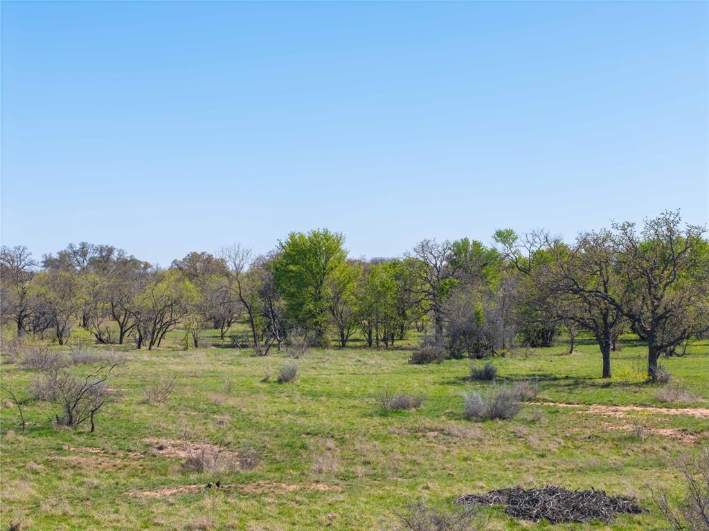 TBD 20 Acres CR 186 - Photo 29