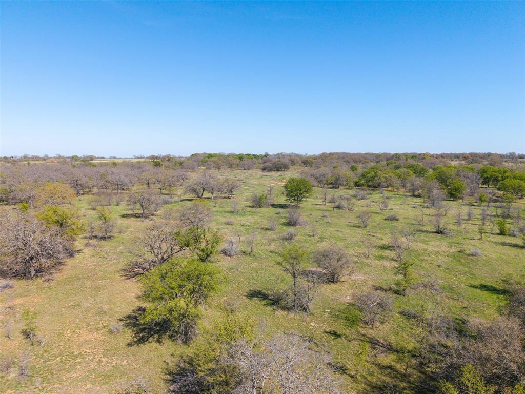 TBD 20 Acres CR 186 - Photo 5