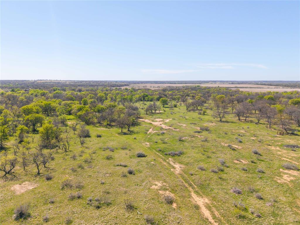 TBD 20 Acres CR 186 - Photo 7