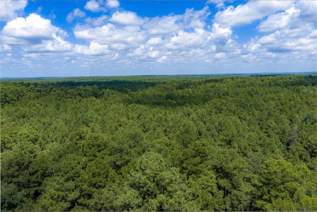 NE Off Of FM 227