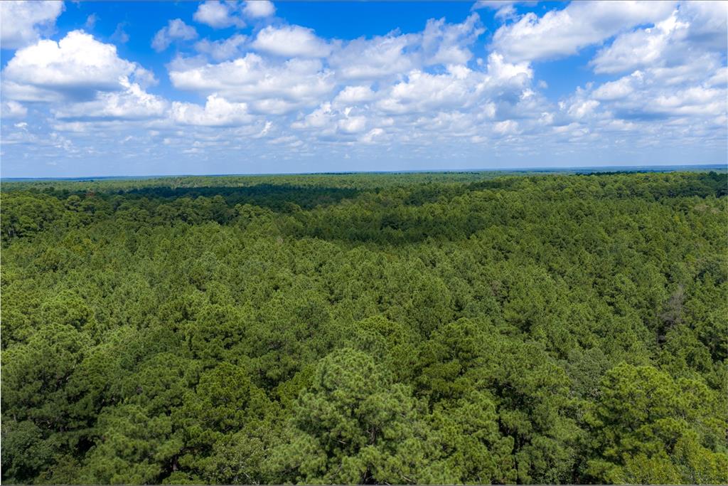 NE Off Of FM 227 - Photo 1