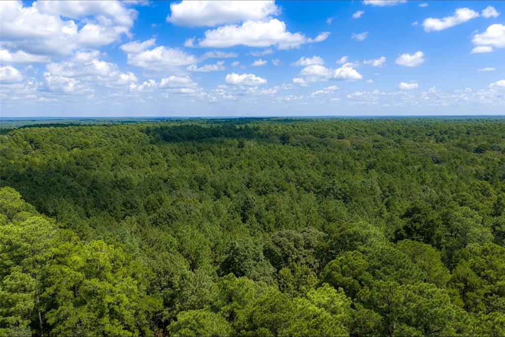 NE Off Of FM 227 - Photo 10