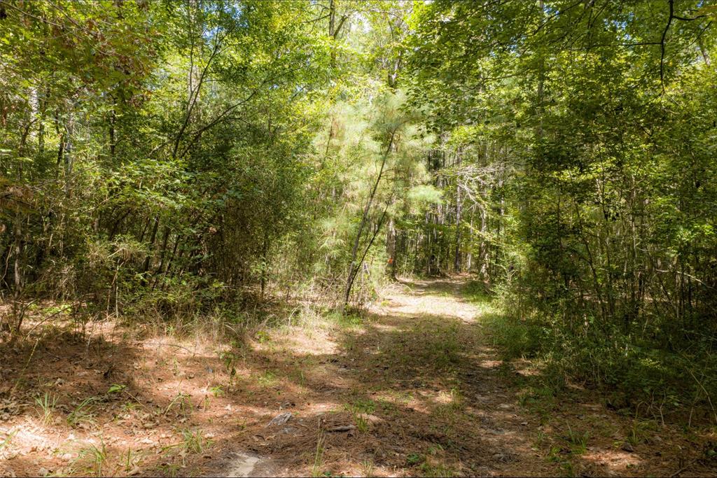 NE Off Of FM 227 - Photo 2