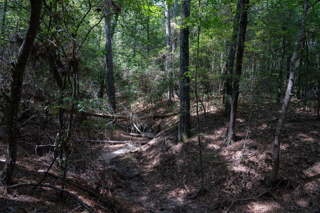NE Off Of FM 227 - Photo 22