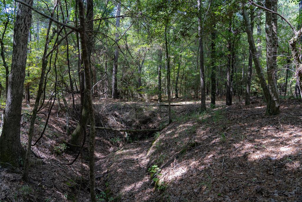 NE Off Of FM 227 - Photo 28